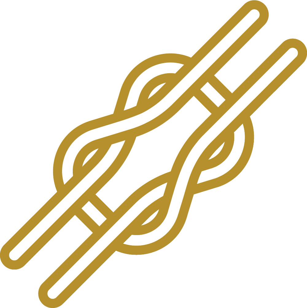 icon4.png